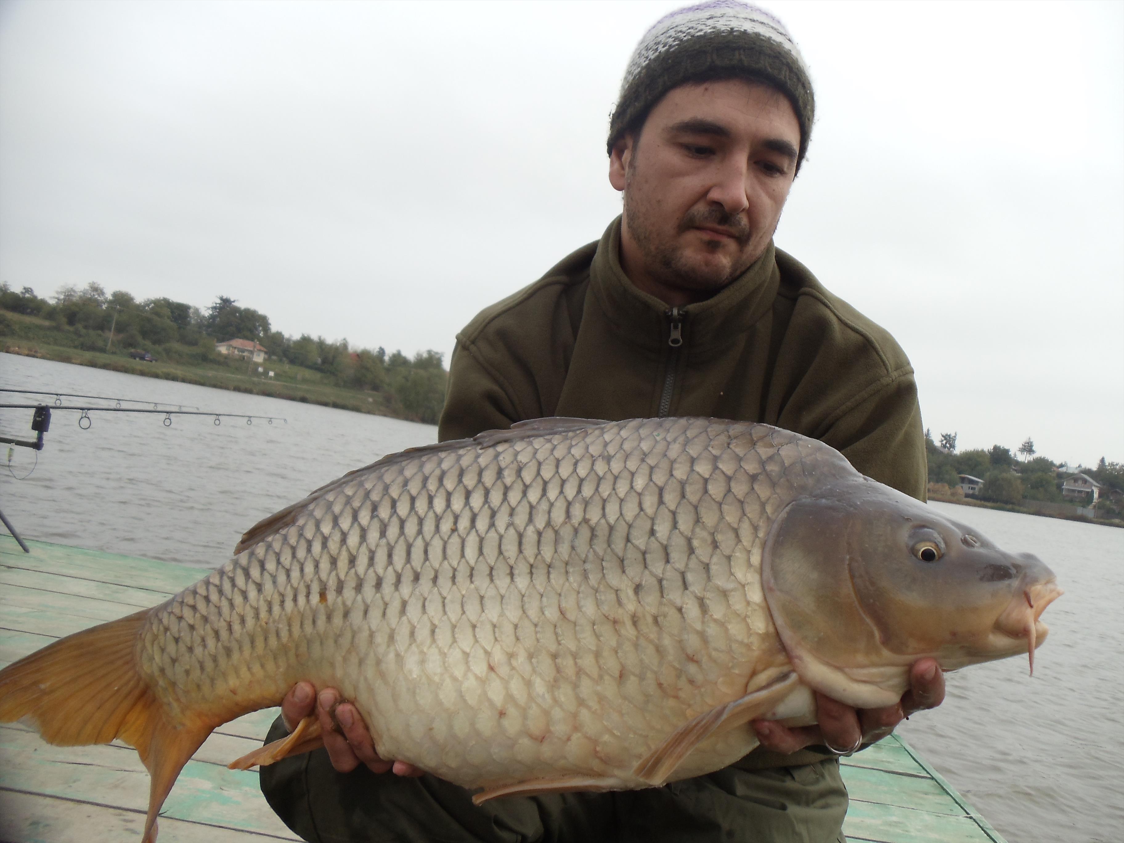 Moara Vlasiei 2012 - MV31.jpg